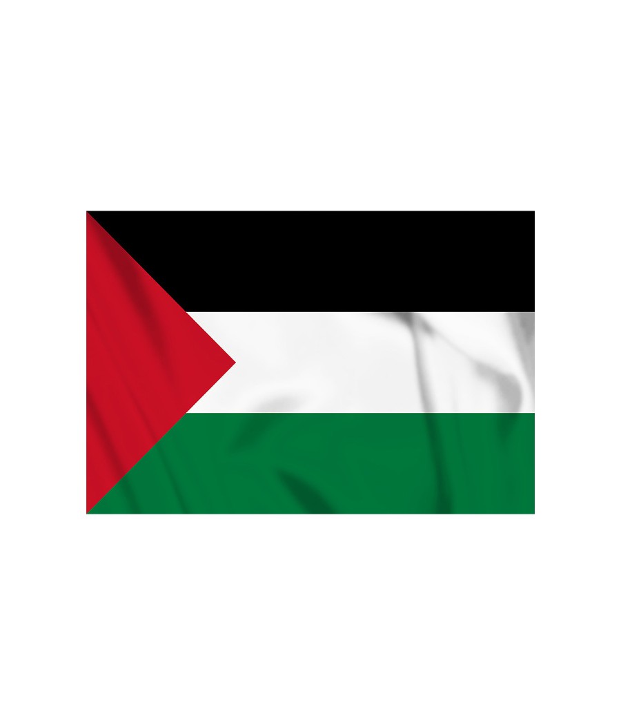 DRAPEAU PALESTINE