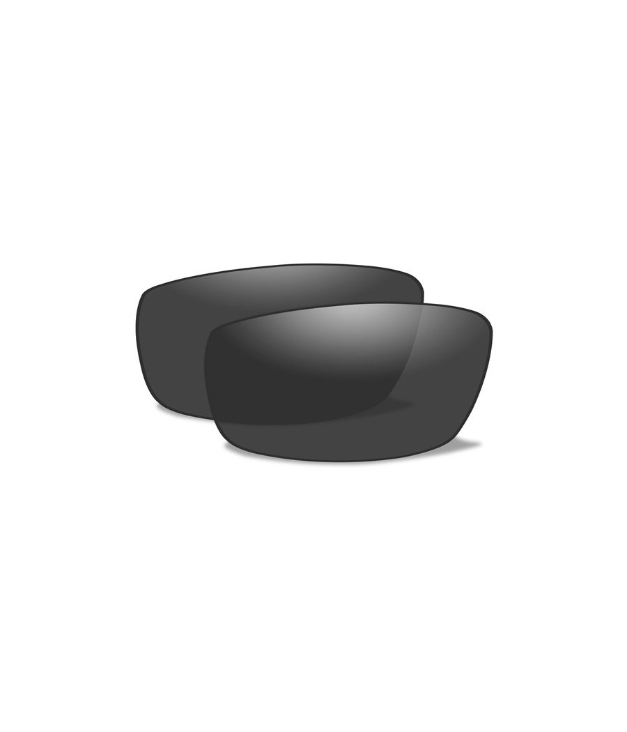 ECRANS POUR LUNETTES XL1 ADVANCED ECRANS POUR LUNETTES XL1 ADVANCED