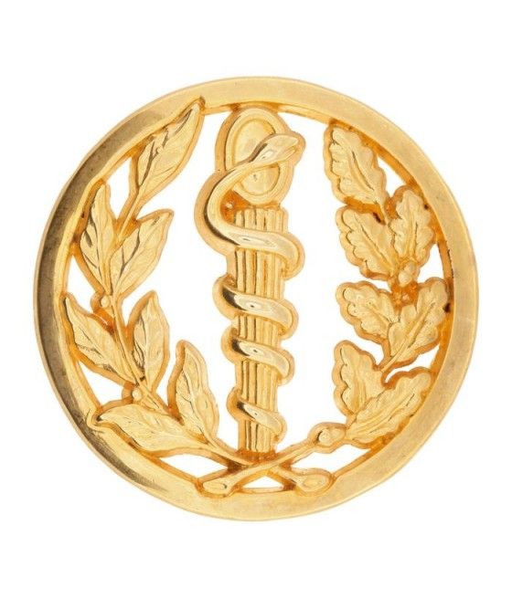 INSIGNE DE BERET SERVICE DE...